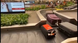 Лента доставки багажа в аэропорту Сингапура...