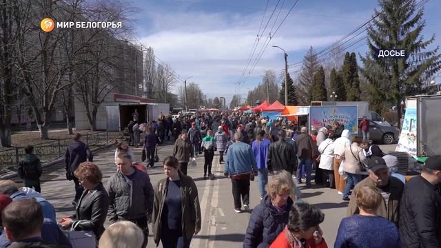 Рост цен на продукты в Белгородской области замедлился смотреть онлайн