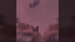 Песня: А девочка плачет глядя в окно. Nastja_muz_familien.