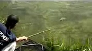 Ловля Рыбы Руками На Кубани [Ловля Рыбы Руками Видео]