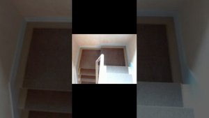 Коврик на ступеньки или площадки, цвет Бежевый Neva-017