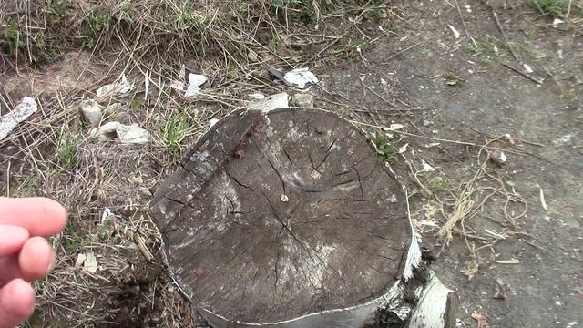 Кухонные принадлежности от МФ. смотреть онлайн