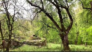 MATOSAVANK ARMENIA ( Hidden treasure in Dilijan forest )