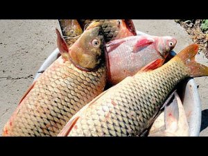 СВЯЖИ ЭТУ СНАСТЬ И НЕ ПОЖАЛЕЕШЬ!!! МАКУШАТНИК БУДУЩЕГО!