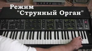 rmif opus