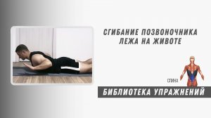 Разгибание позвоночника лежа на животе. Техника выполнения. Упражнение для укрепление спины.