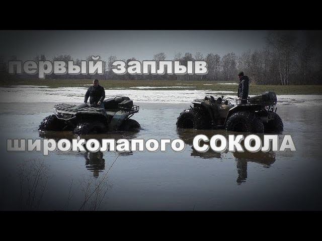 первый заплыв широколапого Сокола смотреть онлайн