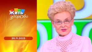 Жить здорово! Выпуск от 20.11.2023