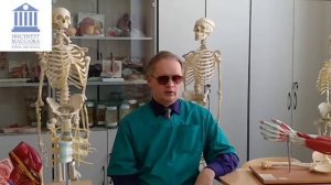 (Видео объяснение). Курс массажист-универсал.