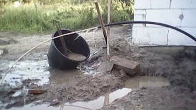 Абессинка в гравии смотреть онлайн