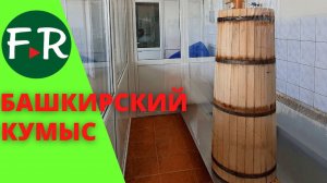 Доить кобыл круглый год? Это возможно! Как производят натуральный кумыс. Уфимский конный завод №119