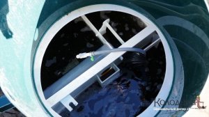 Cептик КОЛОВЕСИ принцип работы, обзор модификаций корпусов Kolo Vesi