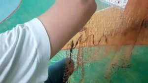 Кастинговая сеть (подвяз карманов Зигзагом на испанке)