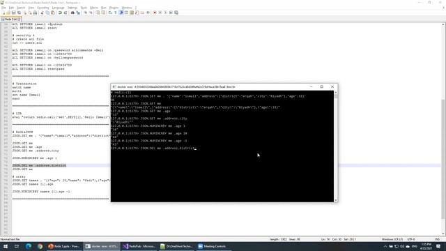 RedisJSON смотреть онлайн