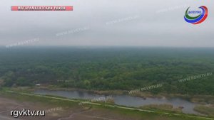 В Дагестанском национальном парке займутся спасением нерпы и лиан