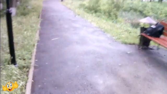 #Красноусольск  Парк  Юность (часть 2) прогулка