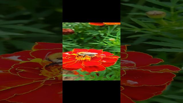 20240820_173244.mp4 смотреть онлайн