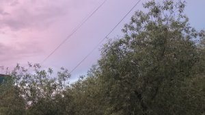 Дмитрий TV. Клип "Восход Солнца. Оригинальный звук".