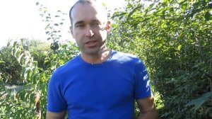 ОТВЕТЫ НА ВОПРОСЫ. Когда лучше обрезать, когда высаживать и т.д.