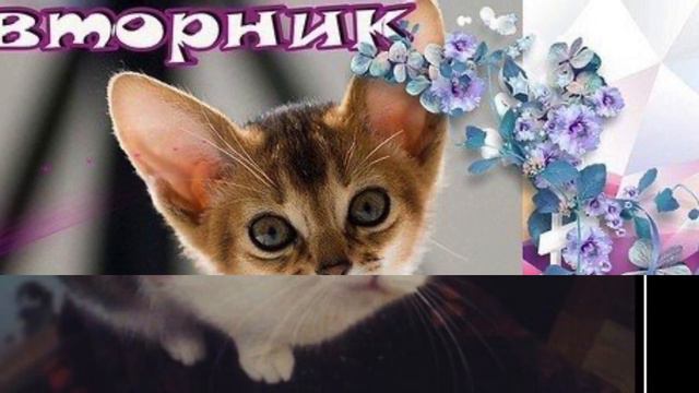 Удачного вторника 20 10 20!!! смотреть онлайн