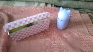 Основные признаки первых месячных