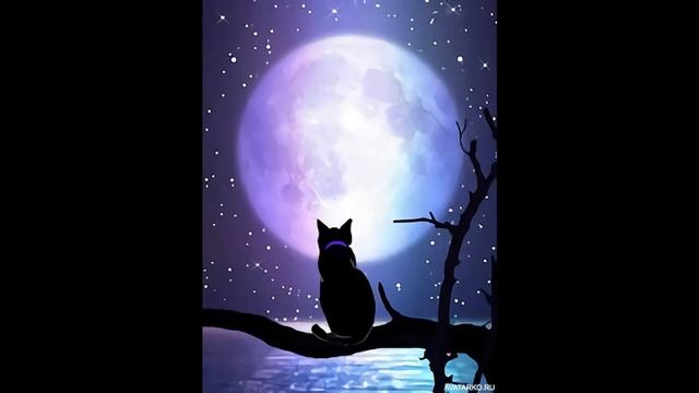 Кошачий АСМР ))) Релакс