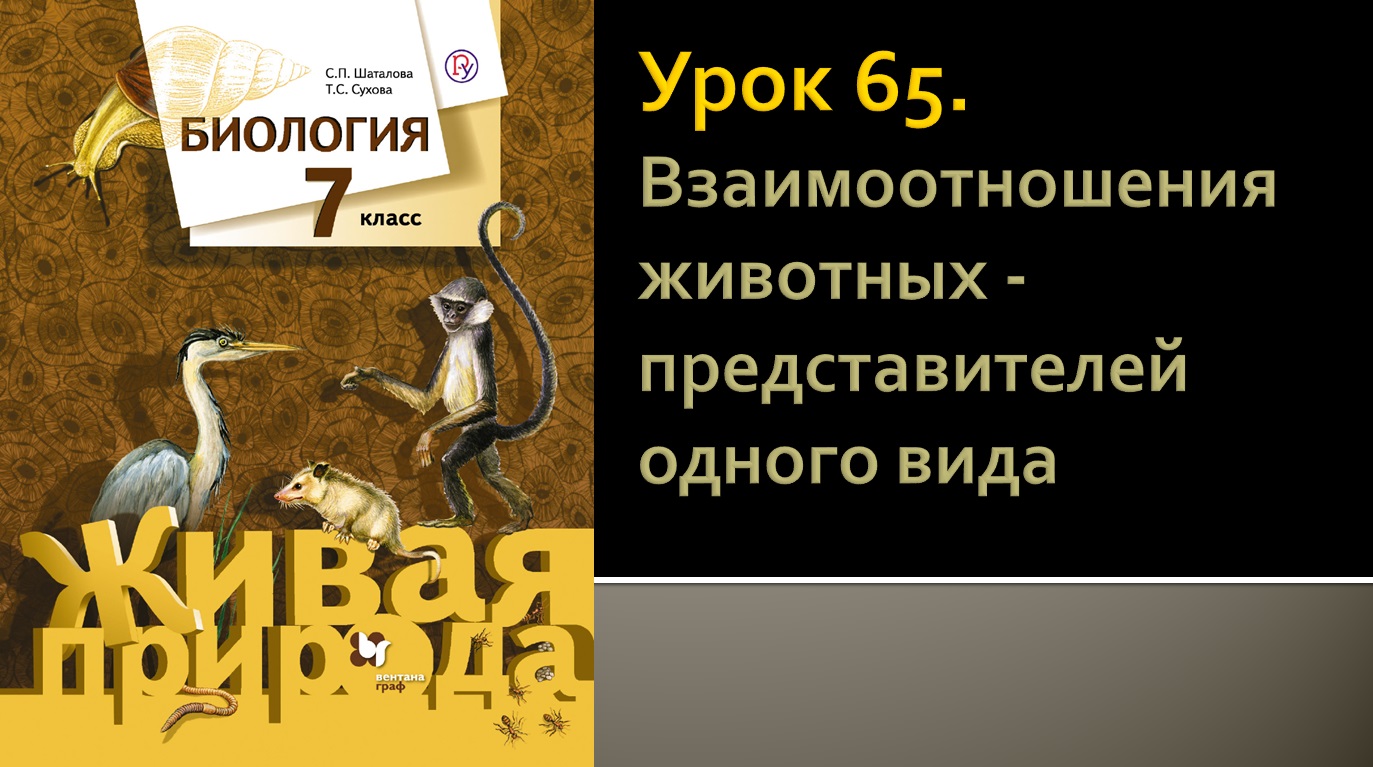 Урок 65. Взаимоотношения животных - представителей одного вида