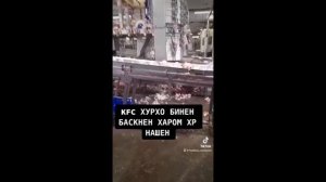 KFC ХАРОМАЙ НАХРЕН 🤮 ХТОН БИНЕН !