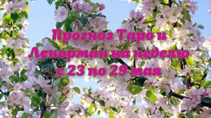 Прогноз Таро и Ленорман на неделю с 23 по 29 мая