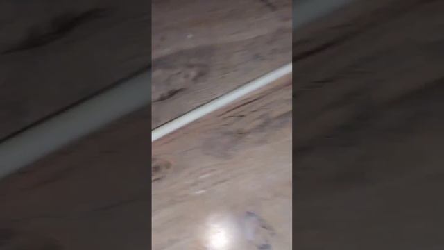 #бебрик#мем#3часть смотреть онлайн