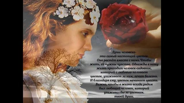 Спасибо вам мои виртуальные друзья, за то что вы есть!. смотреть онлайн