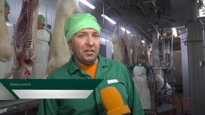 Территория СИБАГРО. Реконструкция мясокомбината