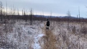 Пешая охота на Камчатского лося