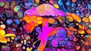 Psychedelic Mushroom Relaxation Video