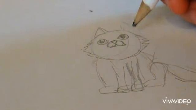 как нарисовать кота