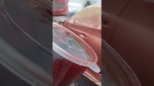 Как я красил мазду 46V / как покрасить трехстадийку / Mazda 46v