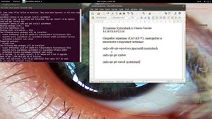 Ubuntu Gnome, Mint Урок 01 Установка утилиты systemback через терминал
