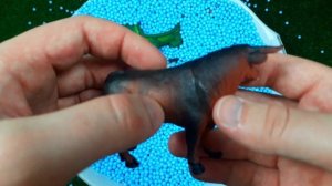 Игрушки для детей узнайте имена Диких Морских и Домашних животных