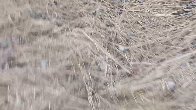 Я йшов до того міста де був мій друг смотреть онлайн