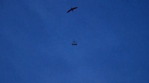 Shotkam Подствольная камера Отзыв владельца