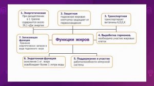 Биология. 10 класс. Свойства и функции жиров /11.09.2020/