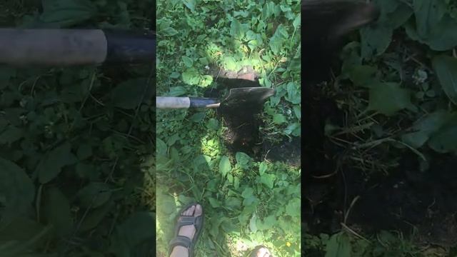 Металлоискатель Minelab X-Terra смотреть онлайн