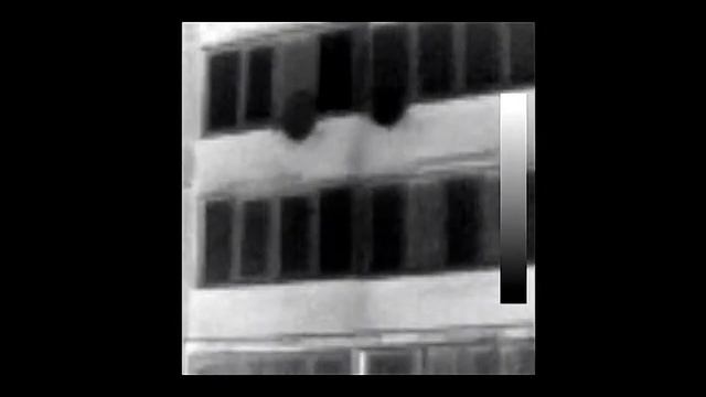 DT980 тепловизор, съемка в палитре Grayscale смотреть онлайн