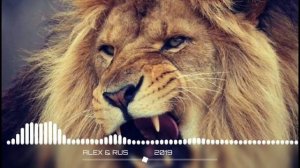 ALEX&RUS-Дикая львица