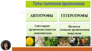 12й класс; Биология; "Организация живой материи на биоценотическом уровне"