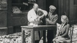 Британская резня питомцев_ Как англичане убили 750 тысяч домашних животных.mp4