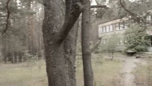 Брошенный пионерский лагерь "Золотая Горка" (urban trip)