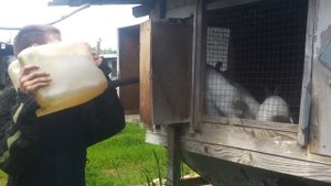 Тверская область.  Кроличья ферма."ЗЕМЛЕВЕД"