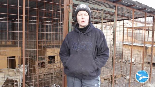 Еженедельник фонда от 16 января 2017 года смотреть онлайн