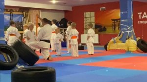 КАРАТЕ ПАЦАН БОИ ДЛЯ ДЕТЕЙ / KARATE KID FIGHT FOR KIDS
